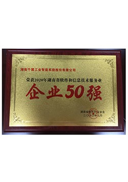 2020年湖南軟件和信息技術服務業企業50強